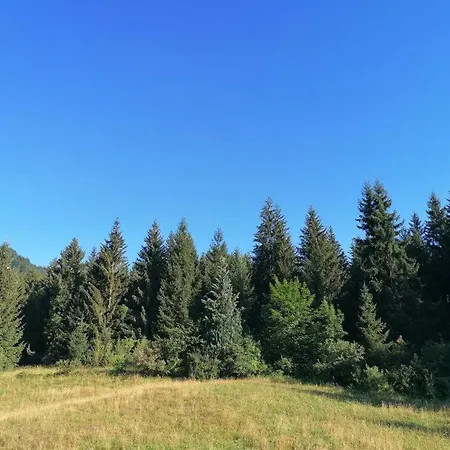 דירה Lebenskraft-apartments רויטה