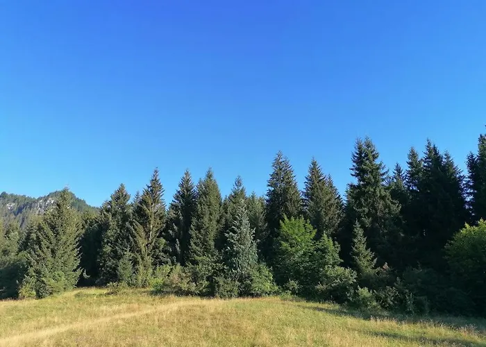 Daire Lebenskraft-apartments Reutte